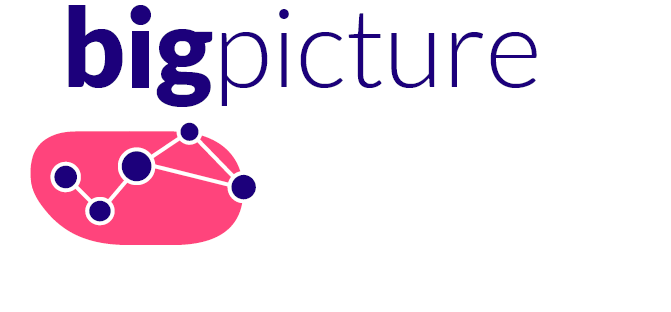 BigPicture_Logo