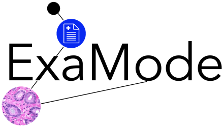 ExaMode_Logo